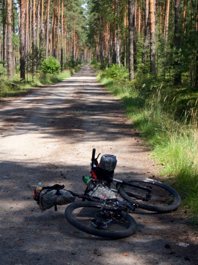 bikepacking rowerem w środku lasu